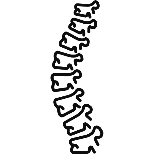 Spine
