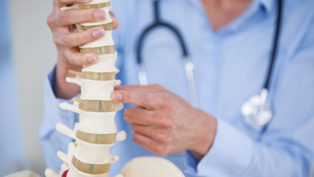 Doctor holding spine model to explain injuries chiropractors treat after an accident